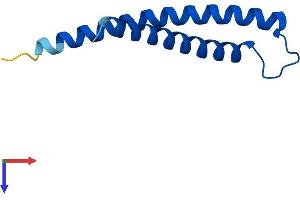 Protein Structure (PS) image for Translocase of Inner Mitochondrial Membrane 10 (TIMM10) (AA 1-90) protein (His tag) (ABIN7544348)