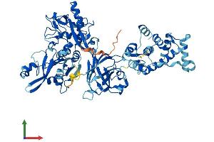 Protein Structure (PS) image for Calpain 9 (CAPN9) (AA 1-690) protein (His tag) (ABIN7552962)