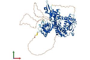 Protein Structure (PS) image for DIS3-Like Exonuclease 2 (DIS3L2) (AA 1-885) protein (His tag) (ABIN7553693)