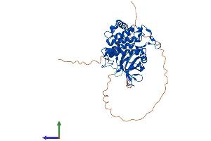 Protein Structure (PS) image for Casein Kinase 1, gamma 3 (CSNK1G3) (AA 1-424) protein (His tag) (ABIN7559141)