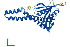 Protein Structure (PS) image for N-Acetyltransferase 8B (GCN5-Related, Putative, Gene/pseudogene) (NAT8B) (AA 1-227) protein (His tag) (ABIN7549725)