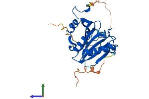 AlphaFold protein structure predicition of Mouse Recombinant Eif4e2 Protein, UniprotID Q8BMB3