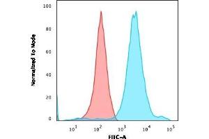 Flow Cytometric Analysis of HEK293 cells using Neurofilament Mouse Monoclonal Antibody (NF421) followed by goat anti-Mouse IgG-CF488 (Blue); Isotype control (Red). (NEFH 抗体)