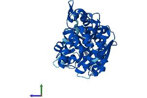 Protein Structure (PS) image for Glycerol-3-Phosphate Dehydrogenase 1 (Soluble) (GPD1) (AA 1-349) protein (His tag) (ABIN7548024)