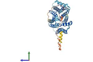 Protein Structure (PS) image for Solute Carrier Family 35 (UDP-Galactose Transporter), Member A2 (SLC35A2) (AA 1-390) protein (His tag) (ABIN7556189)