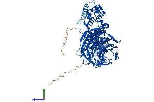 AlphaFold protein structure predicition of Human Recombinant KLHL10 Protein, UniprotID Q6JEL2 (KLHL10 Protein (AA 1-608) (His tag))