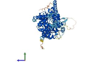 AlphaFold protein structure predicition of Human Recombinant HAS1 Protein, UniprotID Q92839