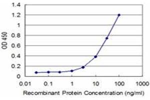 Detection limit for recombinant GST tagged LMO3 is approximately 3ng/ml as a capture antibody. (LMO3 抗体  (AA 91-146))