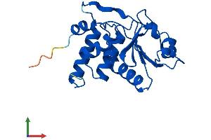 AlphaFold protein structure predicition of Mouse Recombinant Dusp3 Protein, UniprotID Q9D7X3
