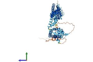 AlphaFold protein structure predicition of Human Recombinant KCNC1 Protein, UniprotID P48547 (KCNC1 Protein (AA 1-511) (His tag))