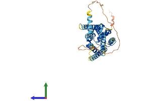 AlphaFold protein structure predicition of Mouse Recombinant S1pr3 Protein, UniprotID Q9Z0U9
