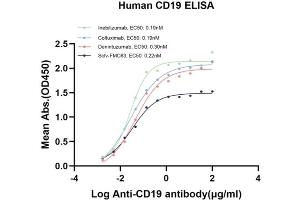 Immobilized Human CD19 Protein at 5 μg/mL can bind different Anti-CD19 Antibodies with high affinity.