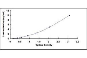 Typical standard curve (Mammaglobin A ELISA 试剂盒)