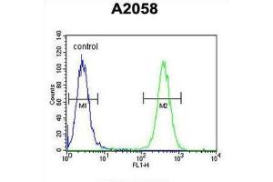Flow Cytometry (FACS) image for anti-FK506 Binding Protein 10, 65 KDa (FKBP10) antibody (ABIN3003179) (FKBP10 抗体)