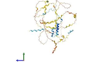Protein Structure (PS) image for WAS/WASL Interacting Protein Family, Member 1 (WIPF1) (AA 1-503) protein (His tag) (ABIN7556020)