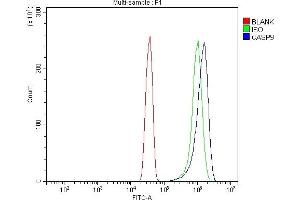 Flow Cytometry analysis of Hela cells using anti-Caspase-9/CASP9 antibody (ABIN7600340).