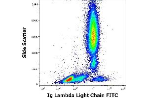 Flow cytometry surface staining pattern of human peripheral whole blood stained using anti-human Ig lambda light chain (4C2) FITC antibody (20 μL reagent / 100 μL of peripheral whole blood). (Lambda-IgLC 抗体  (FITC))