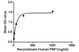 Binding activity of PRF1 with CRT. (Perforin 1 蛋白)