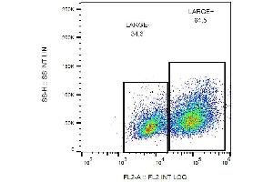 Flow cytometry analysis of LARGE1 in HEK293-LARGE1 transfectants using mouse monoclonal antibody PE. (LARGE1 (AA 35-142) 抗体 (PE))