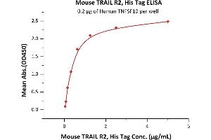 Immobilized Human TNFSF10 at 2 μg/mL (100 μL/well) can bind Mouse TRAIL R2, His Tag (ABIN6731245,ABIN6809883) with a linear range of 0.