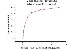 Immobilized Human TNFSF10 at 2 μg/mL (100 μL/well) can bind Mouse TRAIL R2, His Tag (ABIN6731245,ABIN6809883) with a linear range of 0. (TNFRSF10B Protein (AA 53-180) (His tag))