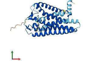 Protein Structure (PS) image for Olfactory Receptor, Family 8, Subfamily D, Member 1 (OR8D1) (AA 1-308) protein (His tag) (ABIN7550321)