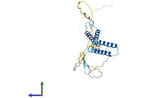 Protein Structure (PS) image for Hes Family bHLH Transcription Factor 1 (HES1) (AA 1-282) protein (His tag) (ABIN7563174)