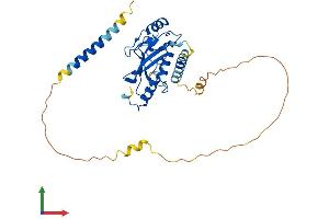 Protein Structure (PS) image for Ubiquitin-Conjugating Enzyme E2, J1, U (UBE2J1) (AA 1-318) protein (His tag) (ABIN7561617)