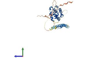 Protein Structure (PS) image for Microtubule-Associated Protein, RP/EB Family, Member 2 (MAPRE2) (AA 1-327) protein (His tag) (ABIN7549321)