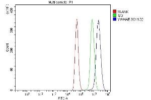 Flow Cytometry analysis of NRK cells using anti-YWHAE antibody (ABIN7599165).