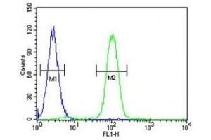 Flow Cytometry (FACS) image for anti-Sp1 Transcription Factor (SP1) (AA 677-707) antibody (ABIN3032701)