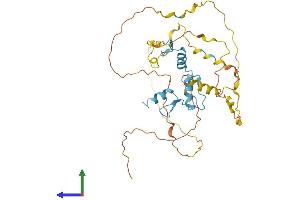 Protein Structure (PS) image for Kruppel-Like Factor 2 (Lung) (KLF2) (AA 1-355) protein (His tag) (ABIN7548955)