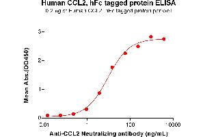 ELISA image for Chemokine (C-C Motif) Ligand 2 (CCL2) (AA 24-99) protein (Fc Tag) (ABIN6964235)