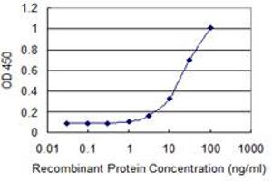 Detection limit for recombinant GST tagged ASCC2 is 1 ng/ml as a capture antibody. (ASCC2 抗体  (AA 672-757))