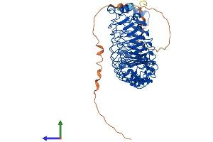 Protein Structure (PS) image for Leucine-rich repeat protein SHOC-2 (SHOC2) (AA 1-582) protein (His tag) (ABIN7546121)