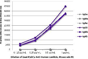 FLISA plate was coated with purified human IgGκ, IgMκ, IgAκ, IgGλ, IgMλ, and IgAλ. (山羊 anti-人 lambda (Chain lambda) Antibody (PE) - Preadsorbed)