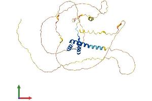 AlphaFold protein structure predicition of Mouse Recombinant Mnx1 Protein, UniprotID Q9QZW9