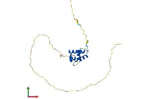 Protein Structure (PS) image for H1 Histone Family, Member 0 (H1F0) (AA 1-194) protein (His tag) (ABIN7562832)