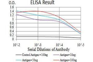 Black line: Control Antigen (100 ng);Purple line: Antigen (10ng); Blue line: Antigen (50 ng); Red line:Antigen (100 ng) (DOC2A 抗体  (AA 652-749))