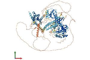 Protein Structure (PS) image for Breakpoint Cluster Region (BCR) (AA 1-1271) protein (His tag) (ABIN7552612)