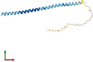 Protein Structure (PS) image for Synuclein, alpha (SNCA) (AA 1-140) protein (His tag) (ABIN7544253)