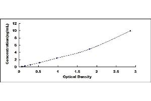 Typical standard curve (WNT10B ELISA 试剂盒)