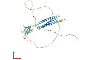 Protein Structure (PS) image for BCL2-Associated Athanogene (BAG1) (AA 1-345) protein (His tag) (ABIN7552555)