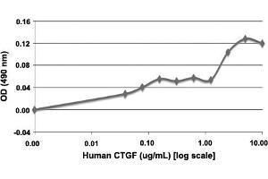 Serial dilutions of human CTGF, starting at 10 ug/mL, were added to HUVECs cultured without EGF. (CTGF 蛋白)