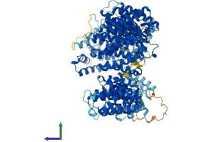 Protein Structure (PS) image for Exportin 4 (XPO4) (AA 1-1151) protein (His tag) (ABIN7556054)