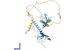 Protein Structure (PS) image for Muscleblind-like Protein 1 (MBNL1) (AA 1-388) protein (His tag) (ABIN7554491)