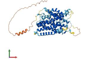 Protein Structure (PS) image for Solute Carrier Family 38 Member 1 (SLC38A1) (AA 1-485) protein (His tag) (ABIN7559515)