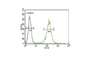 RDH10 Antibody (Center) (ABIN650935 and ABIN2840001) flow cytometric analysis of NCI- cells (right histogram) compared to a negative control cell (left histogram). (RDH10 抗体  (AA 106-135))