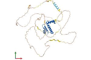 Protein Structure (PS) image for Myocyte Enhancer Factor 2C (MEF2C) (AA 1-474) protein (His tag) (ABIN7564559)