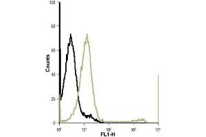 Flow Cytometry (FACS) image for anti-Potassium Inwardly-Rectifying Channel, Subfamily J, Member 13 (KCNJ13) (AA 80-94), (Extracellular) antibody (ABIN7043475)